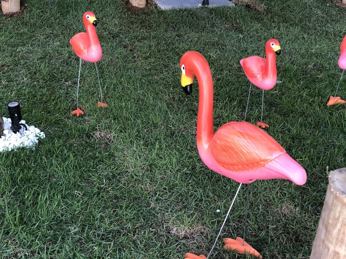 Flamingo Beach Pousada Cabo Frio Eksteriør billede
